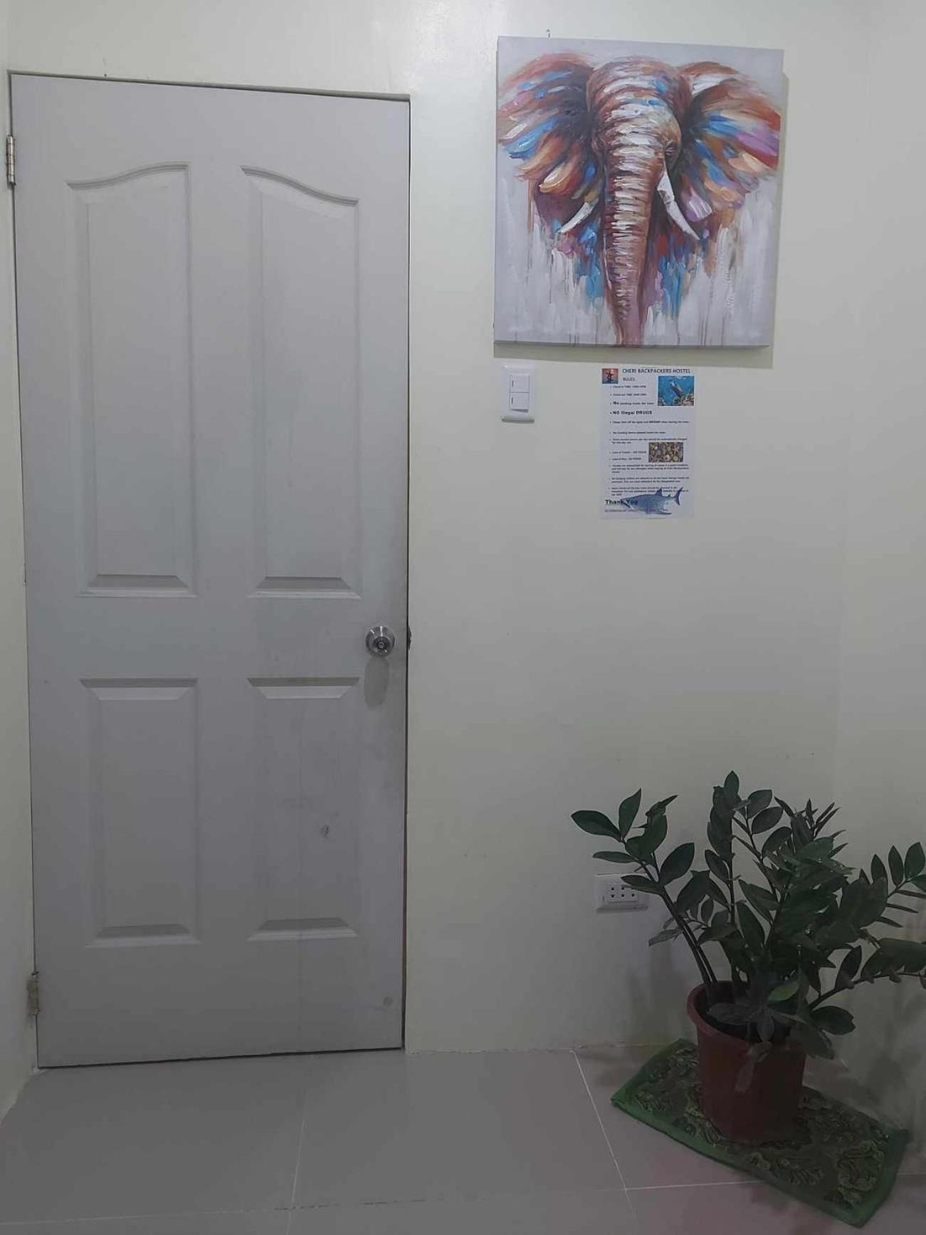Cheri Backpackers Hostel Moalboal Dış mekan fotoğraf
